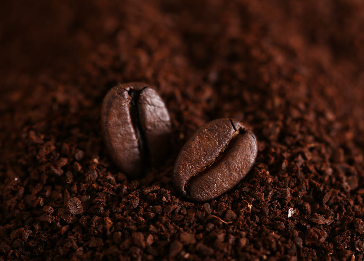 Tipos de cafés – Espécies dos grãos